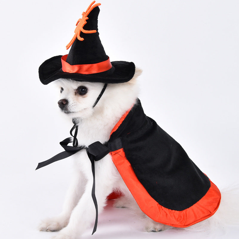 Funny Pet Halloween Costume