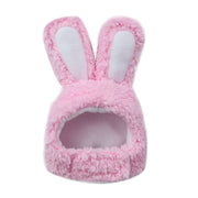 Pink Lop Rabbit