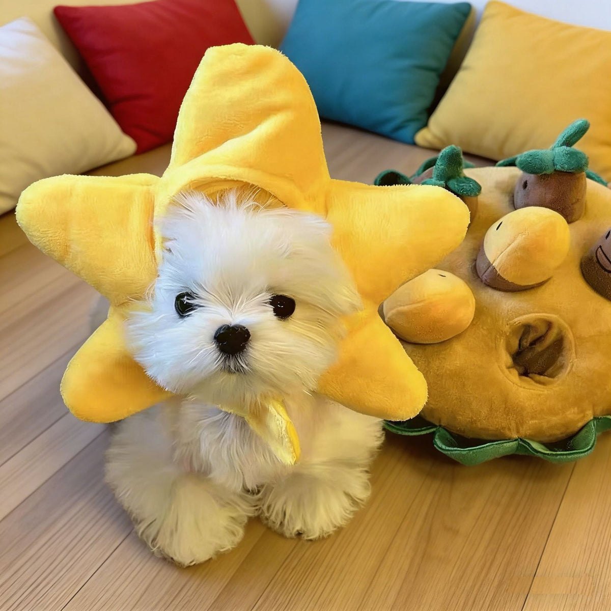 Gorro divertido de animales para mascotas