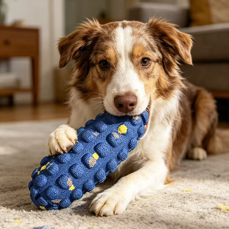 Pet entertainment toy ball