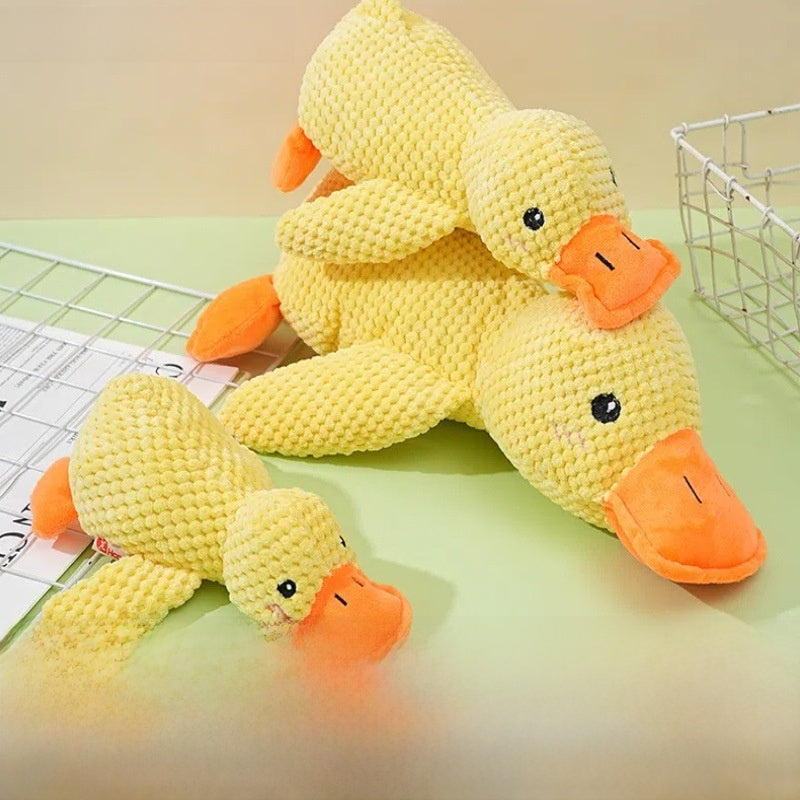 Plush Squeaky Pet Chew Toys