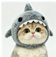 Shark
