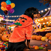Disfraz de Halloween de calabaza
