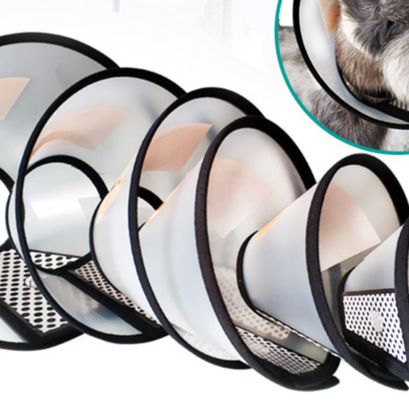 Elizabethan Collar for Pets