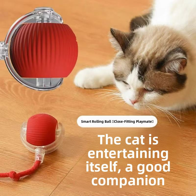 Electric pet toys