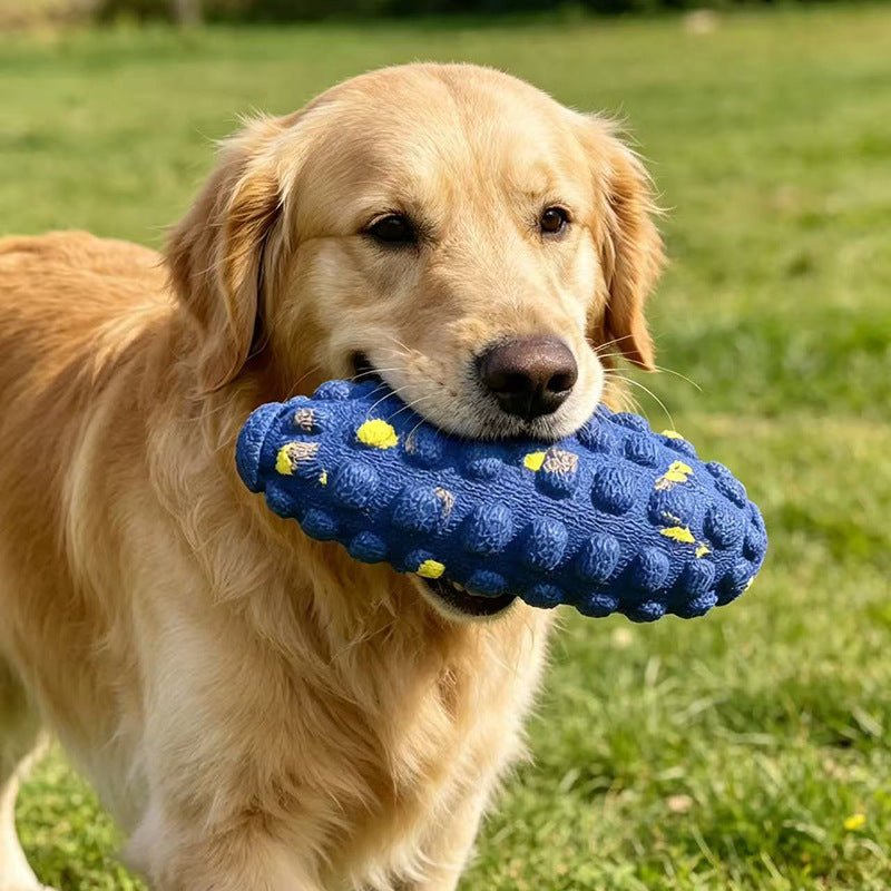 Pet entertainment toy ball