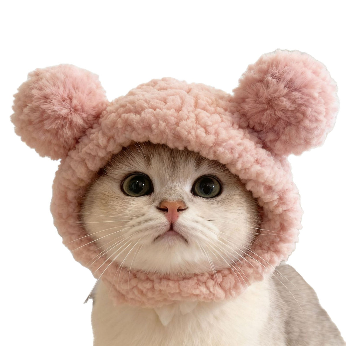 Cute Animal Pet Headgear