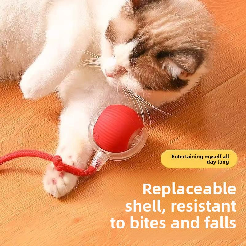 Electric pet toys