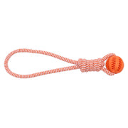 Naranja pequeña 1pcs