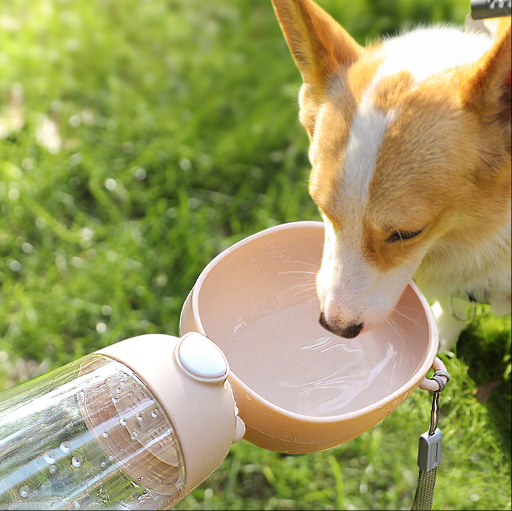Botella portátil de agua y comida para perros