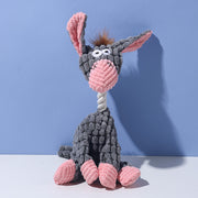 Burro gris