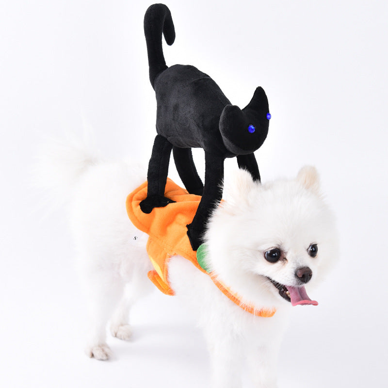 Funny Pet Halloween Costume