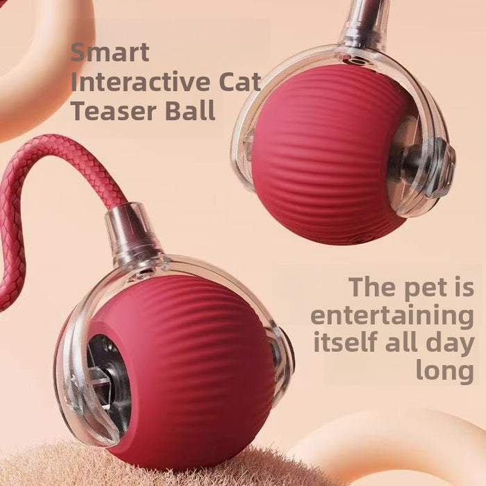 Pelota eléctrica automática para gatos