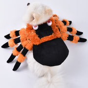 Spider Transformation