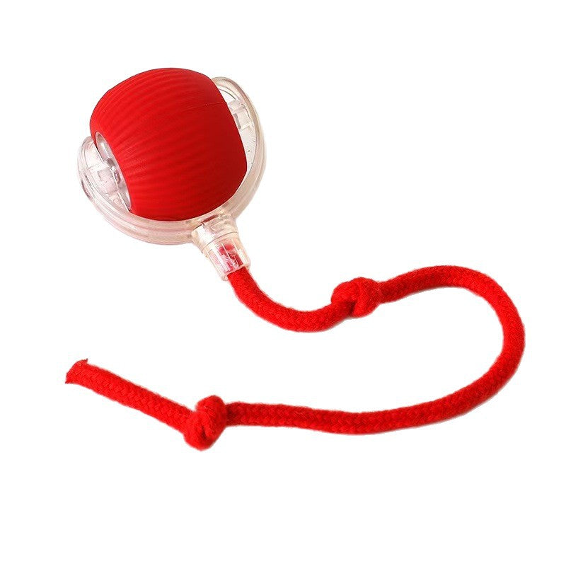 Electric pet toys