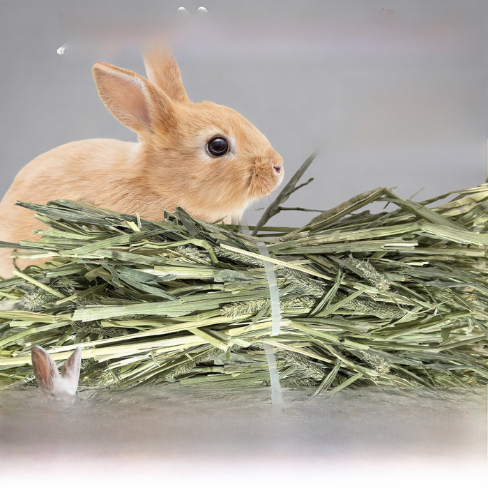Heno de hierba Timothy para pequeños animales